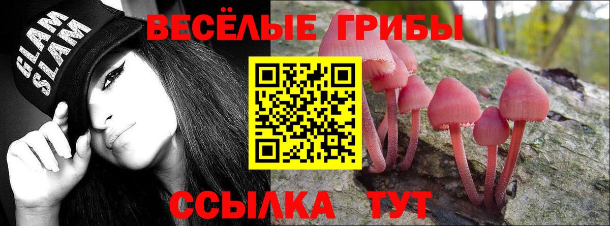 Галлюциногенные грибы мухоморы  Вход с VPN  Саратов  Псилоцибиновые грибы мухоморы 